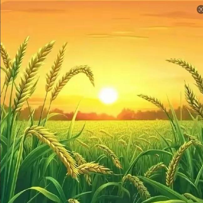 家乐园鞋品推荐官