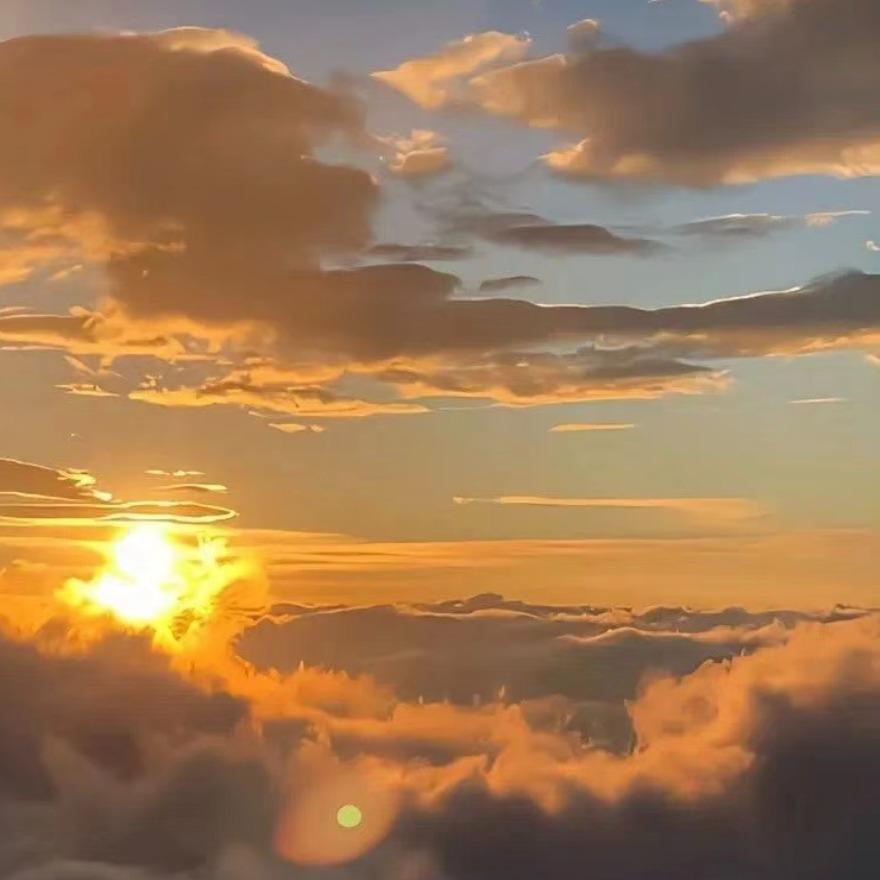 敬秀玉琼直播1号