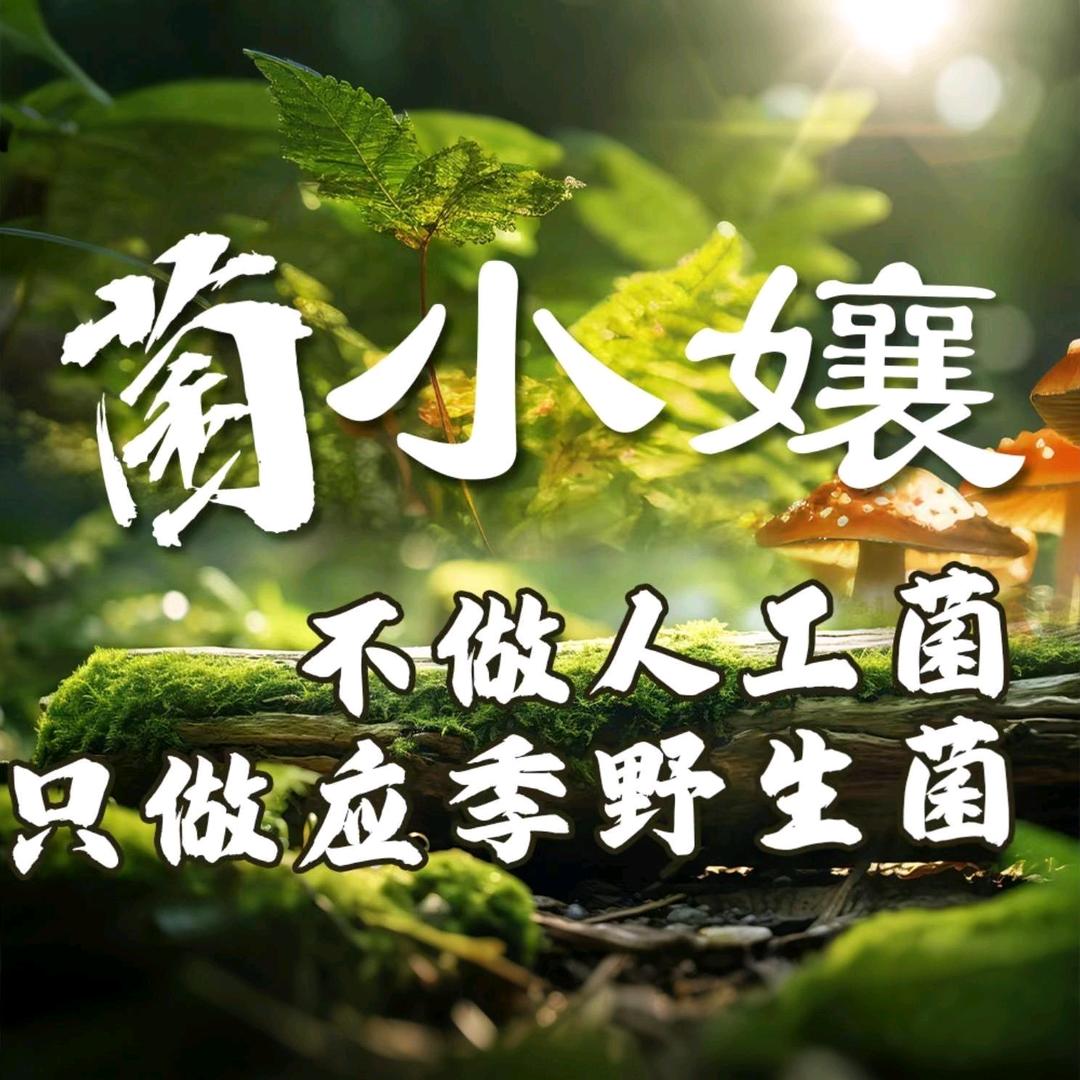 菌小孃野生菌火锅（江岸店）