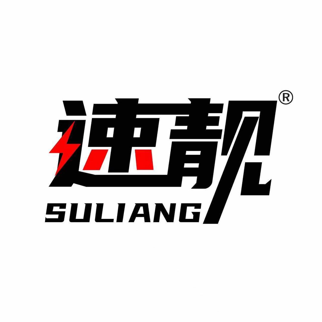 速靓养车