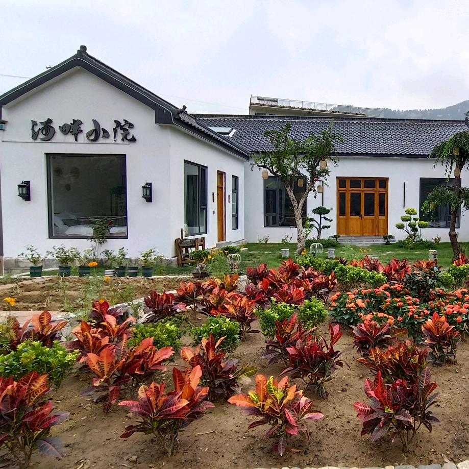 费县河畔小院