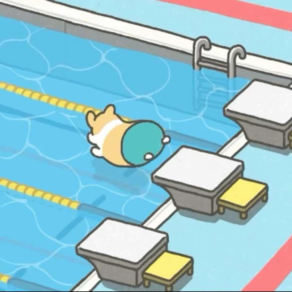 金诺克游泳培训蓝途旗舰店