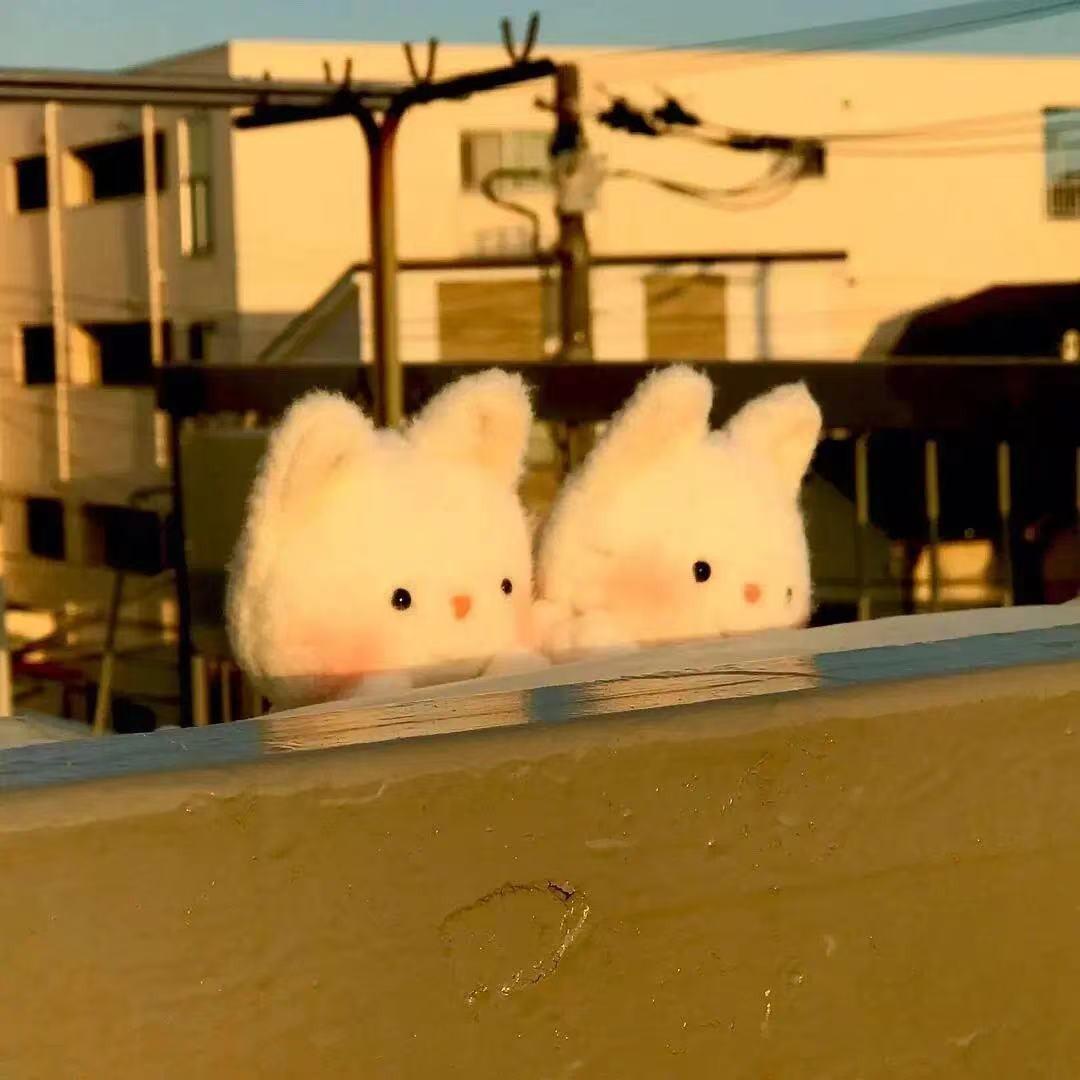 凯幺网络科技直播号