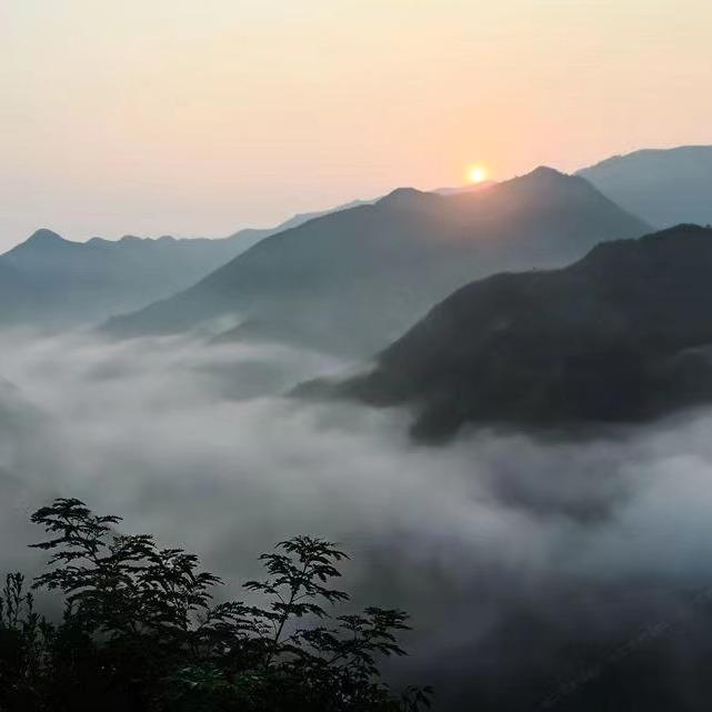 坡山云来山庄