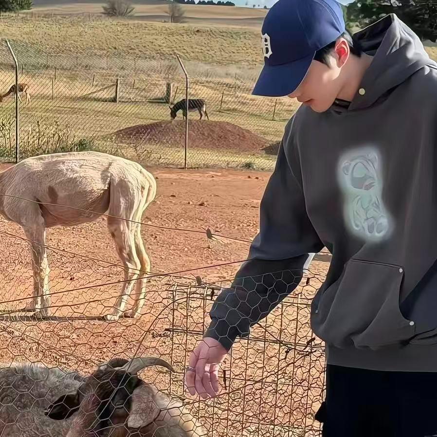 素昕-薄荷微凉-运营号