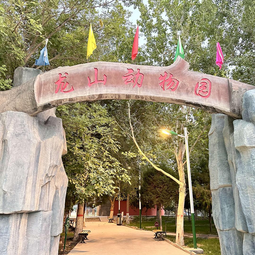 新疆库尔勒龙山动物园