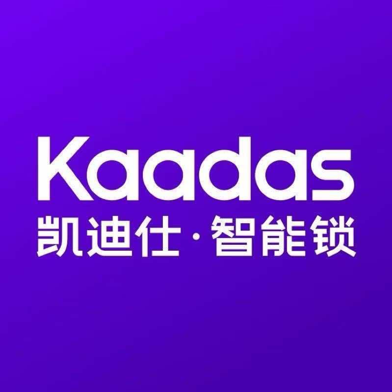 凯迪仕智能锁-南阳上亿广场店