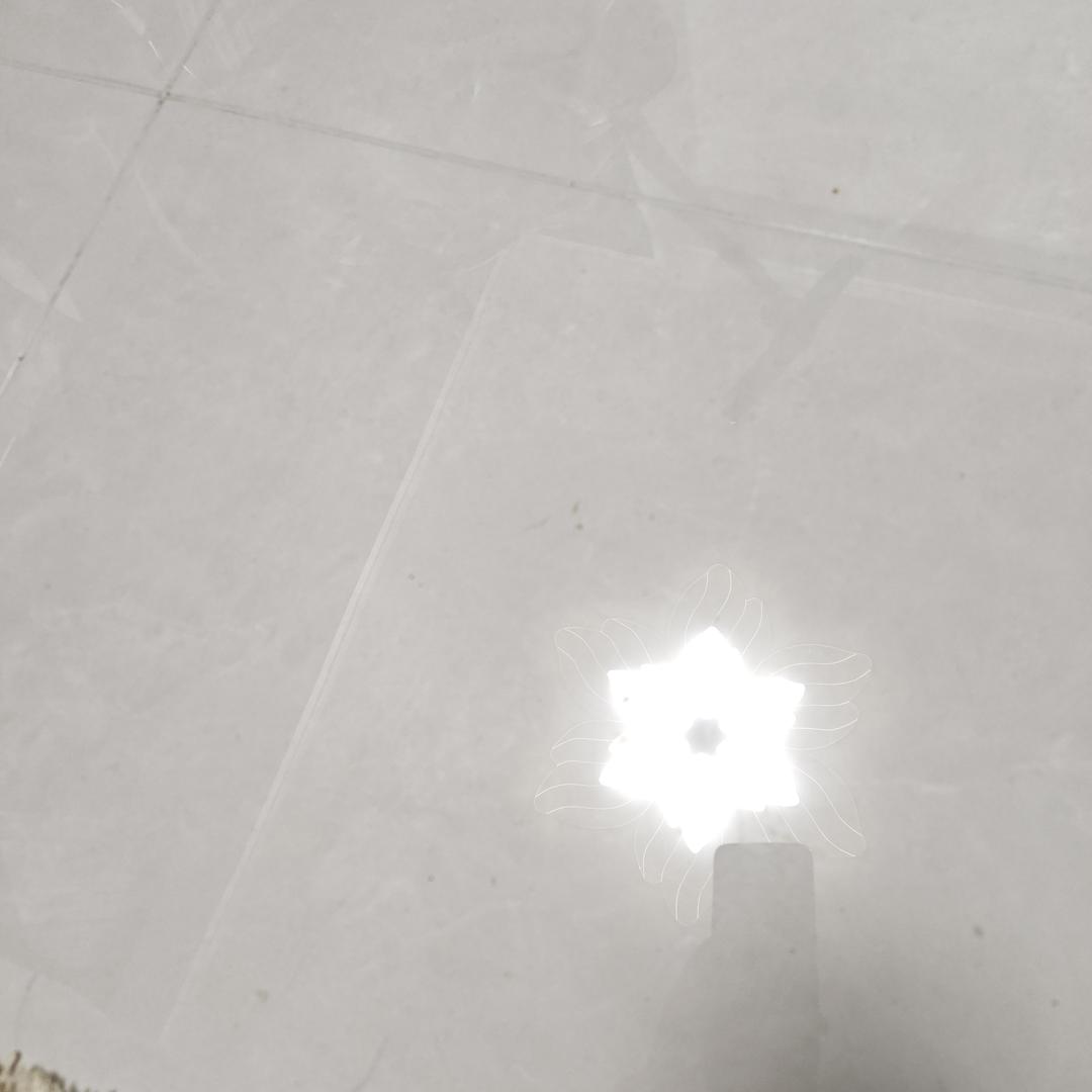 不得欧（兹熊）