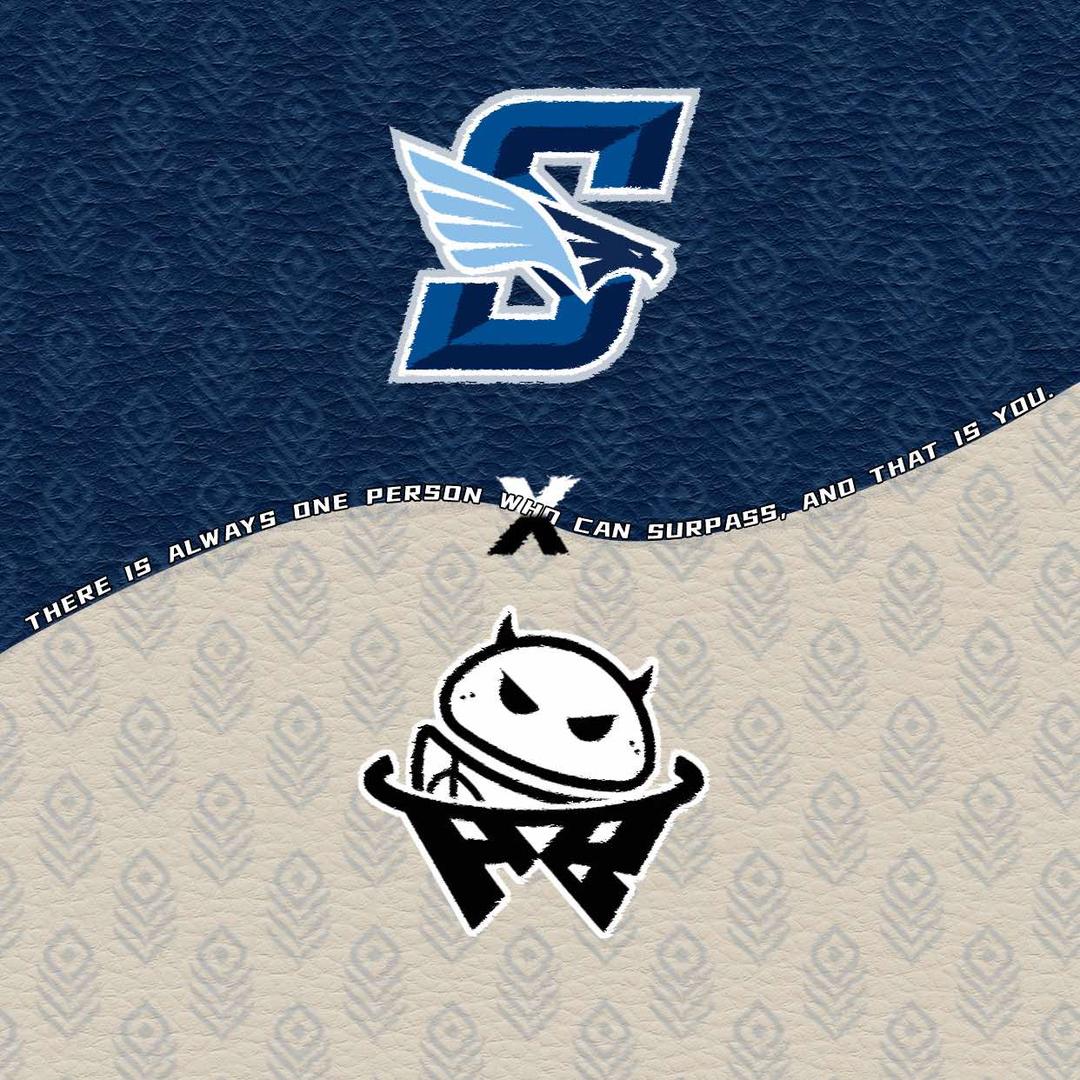 大鸟（佛山）体育发展有限公司