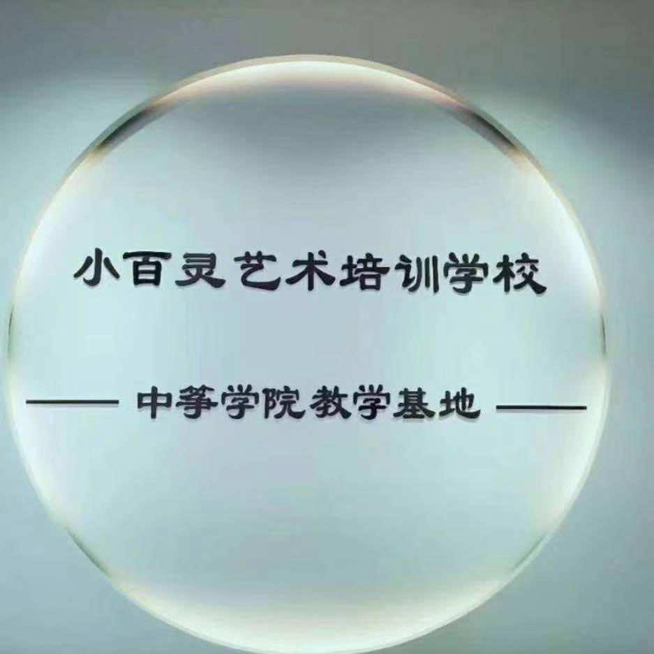 文水小百灵古筝琵琶