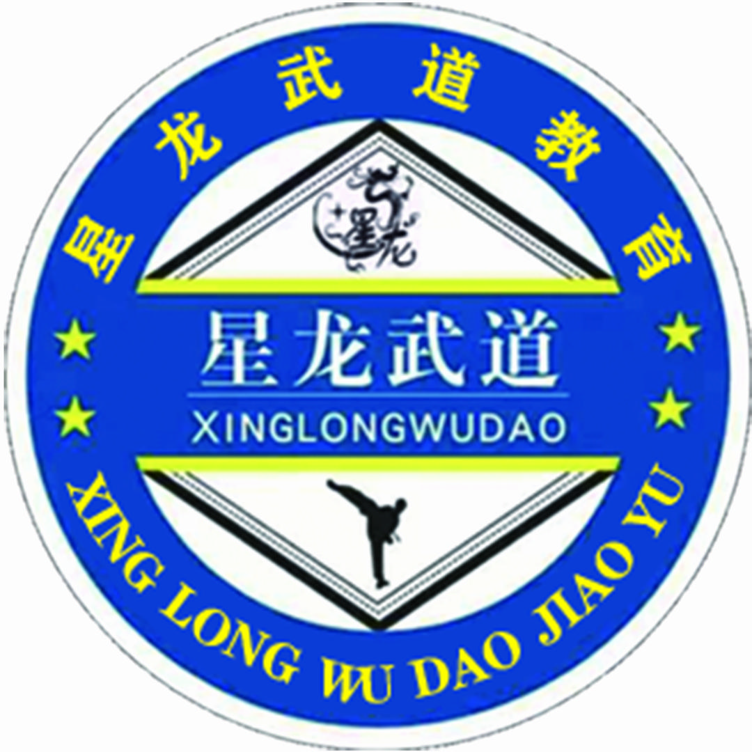 河南漯河星龙武道