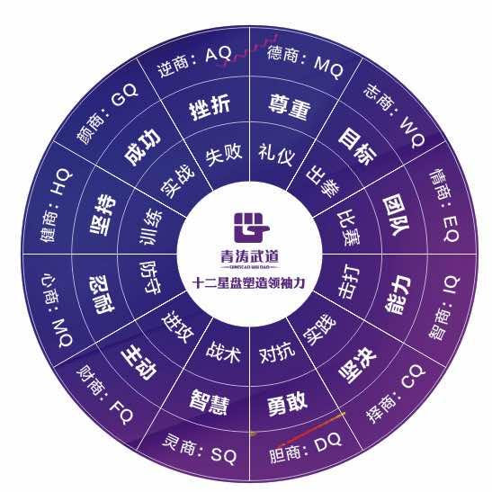 青涛武道曼巴格斗宠粉号