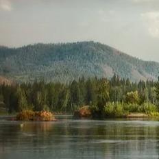 四季与你(四季天地店)8237y18973的直播号