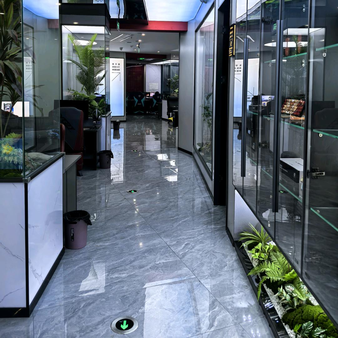 飞驰电竞官方号