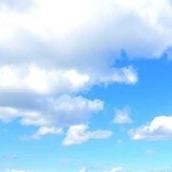 萨香塔酷直播号