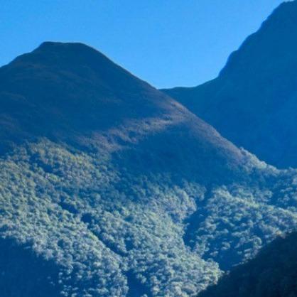 成都众匠莘辰科技有限公司