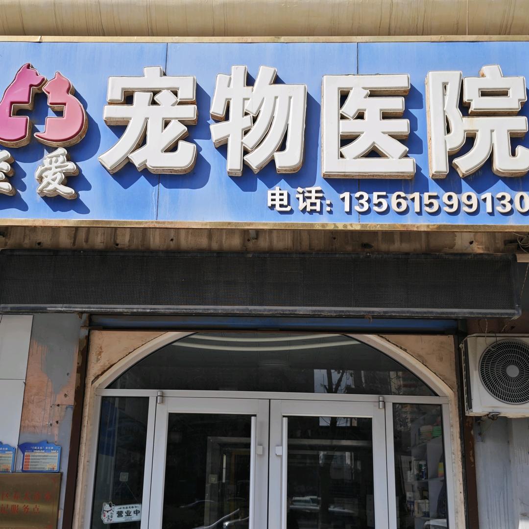 至爱宠物医院专用号