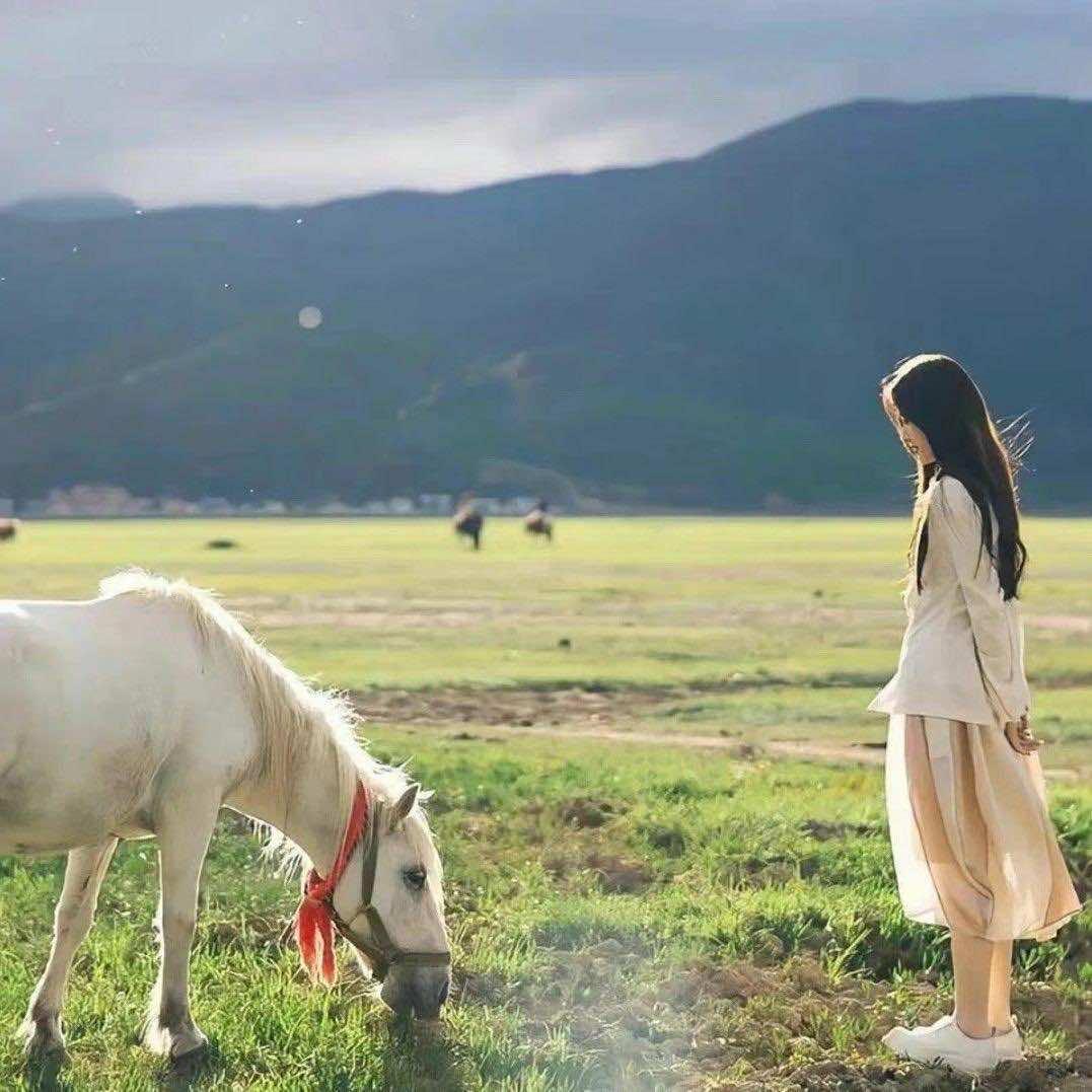 五华区黄寄真百货店（个体工商户）@抖音