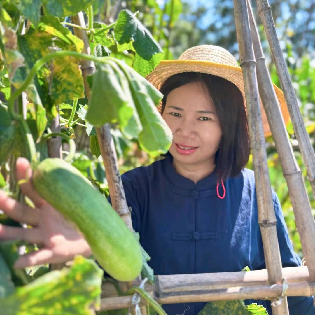 朝夕湘楚官方号