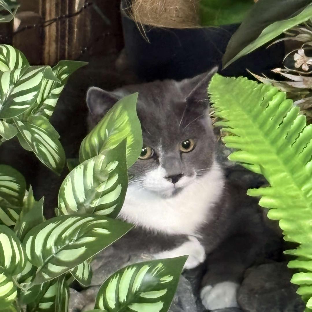 天际八号台球俱乐部