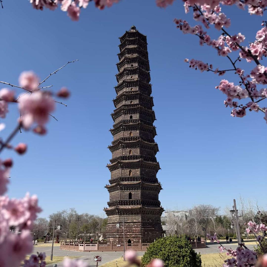 青禾装饰直播号