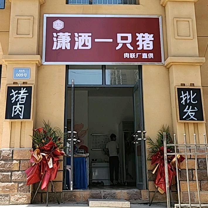 潇洒一只猪