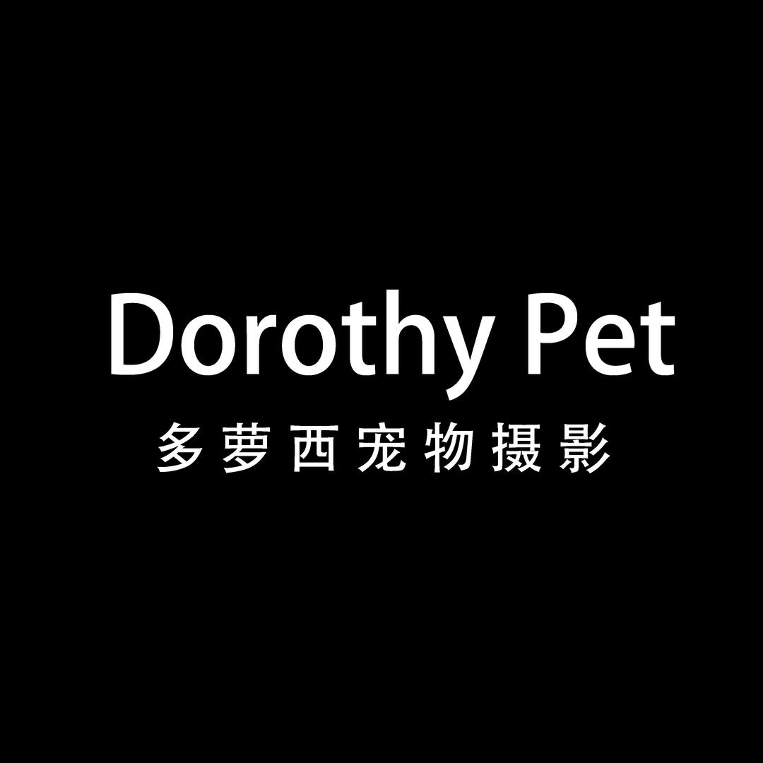 多萝西宠物摄影