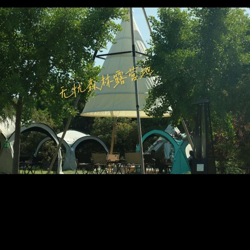 无忧森林官方号