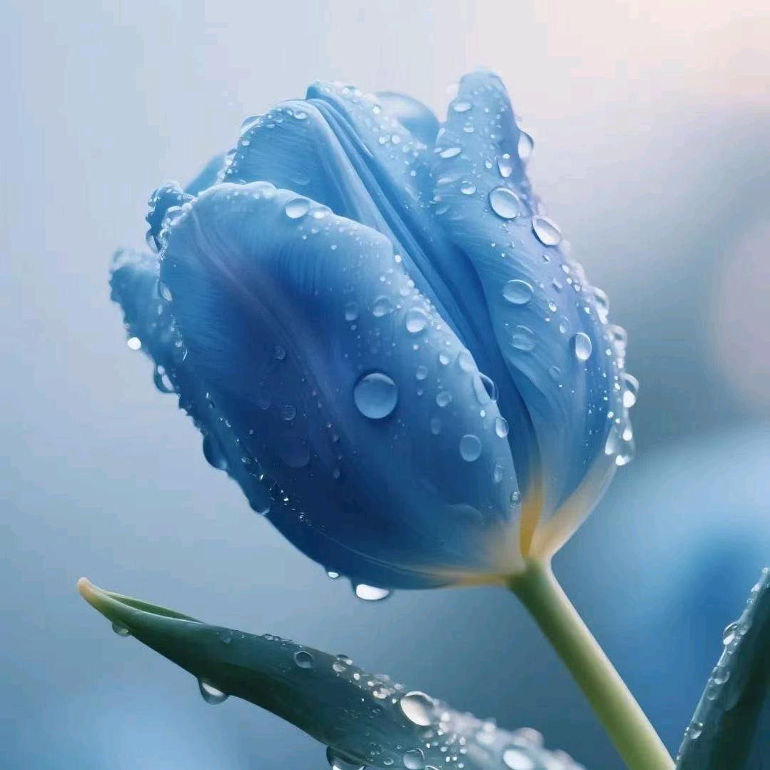 惠丰源甄选888直播号