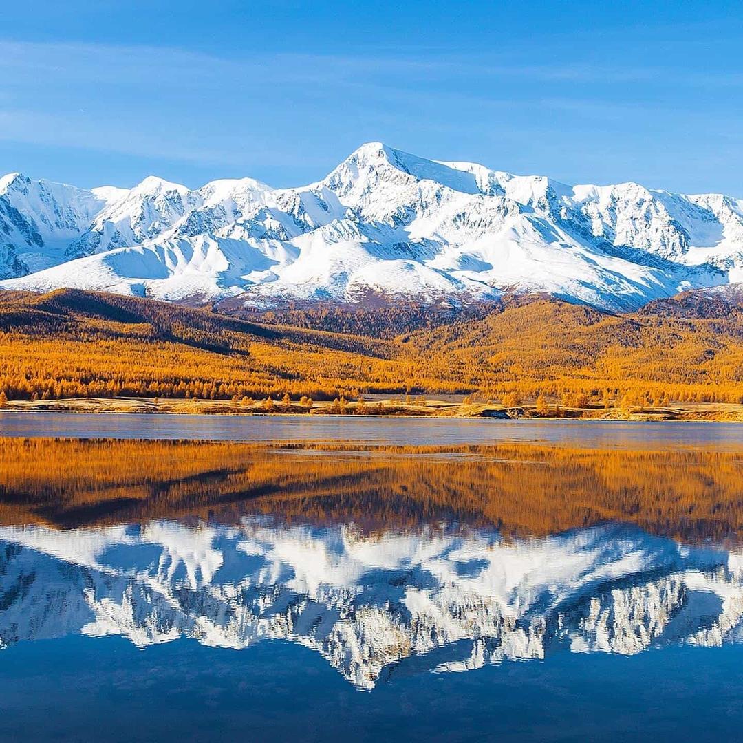 米其林轮胎(官方广州驰普店)闪一闪吧直播号