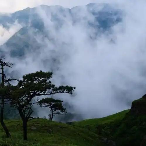 纷纷传媒直播号