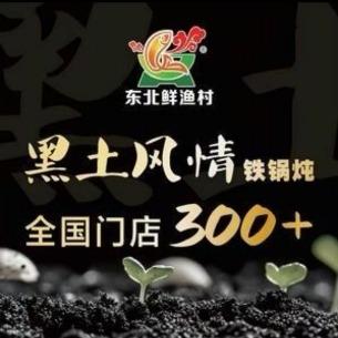 东北鲜鱼村黑土风情铁锅炖(城南新区店)