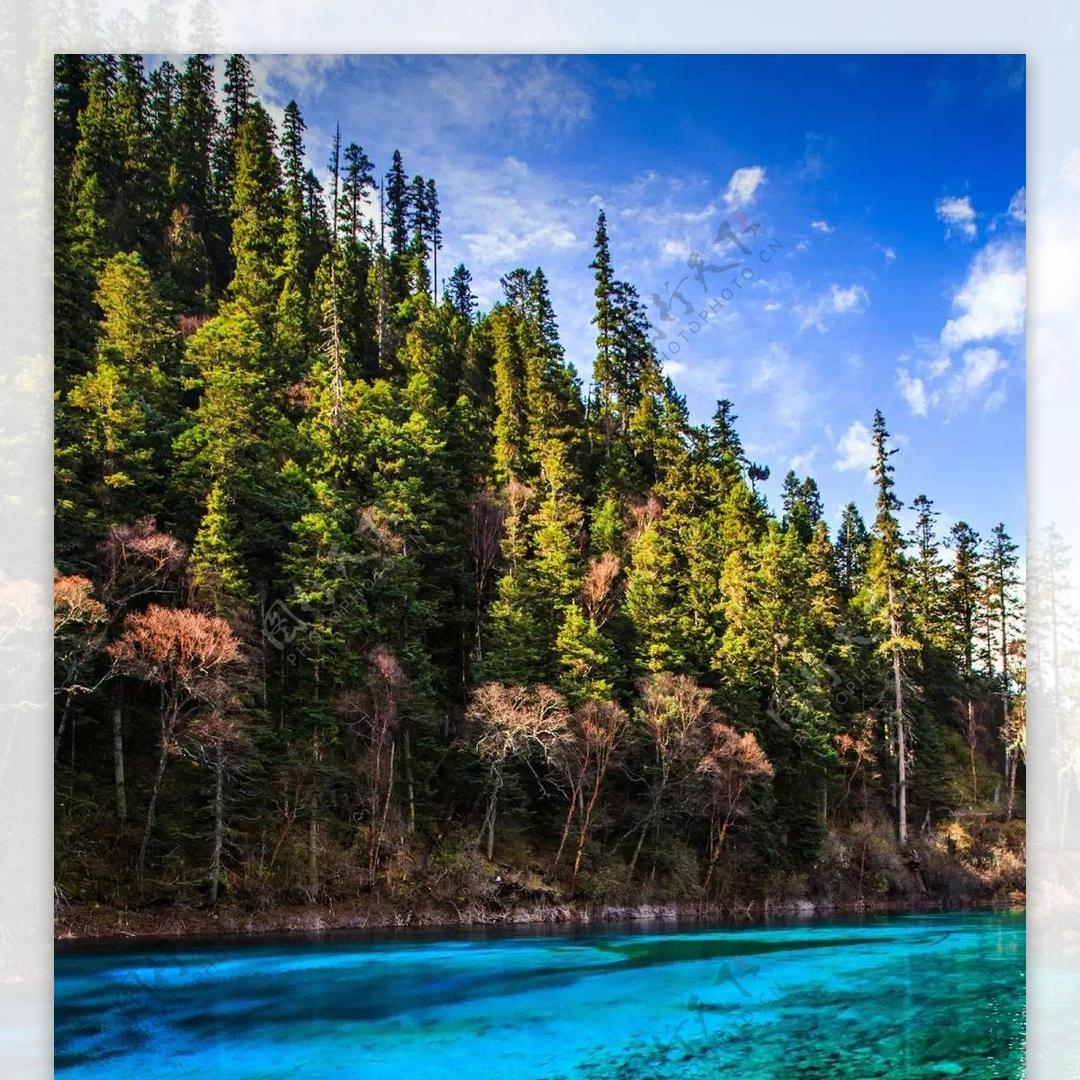 合朵强强百货号