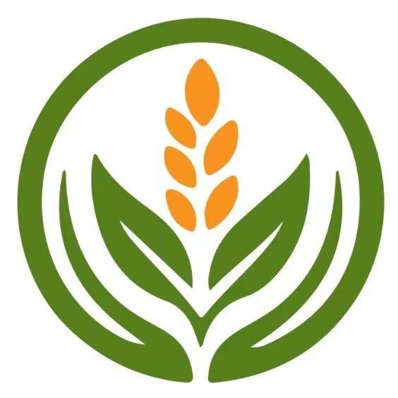 健飞种植官方号