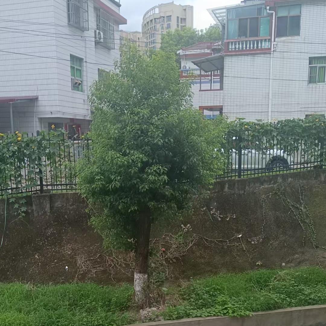 凌明耀甄选店
