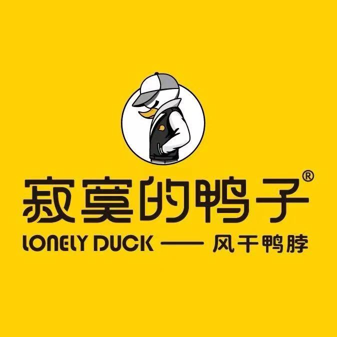 寂寞的鸭子宁夏