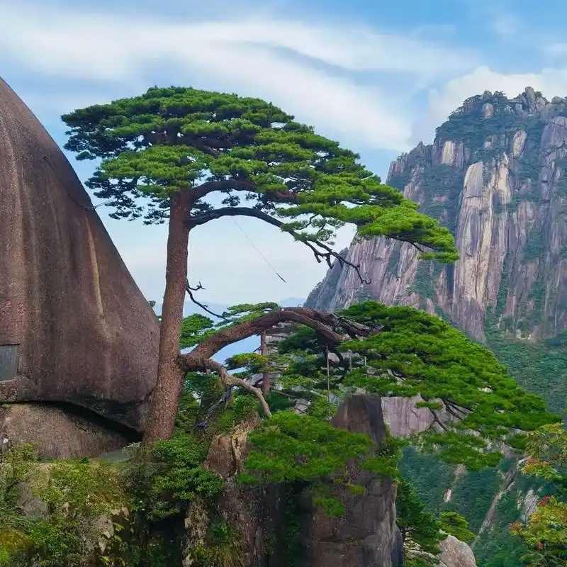黄山