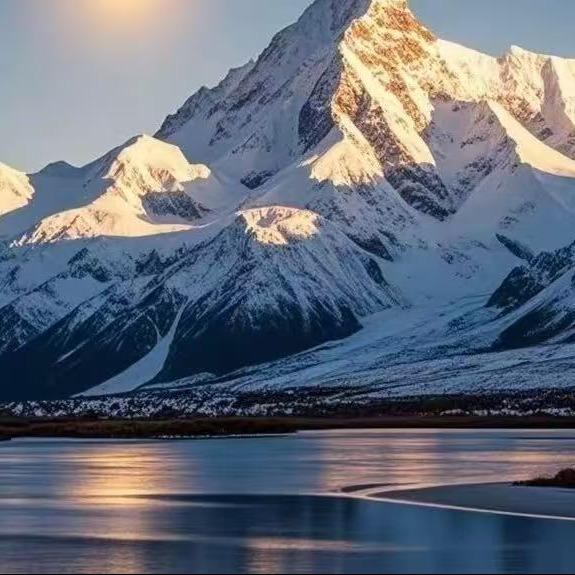 这是一家便利店官方直播号