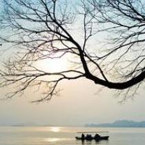 金东便利店(科新路店)后台号