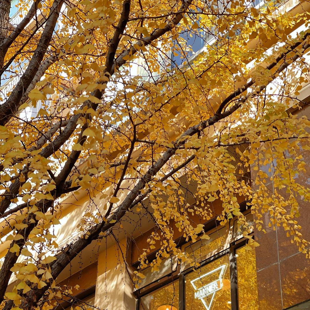 武汉市风清克百货店(个人独资)QU直播号