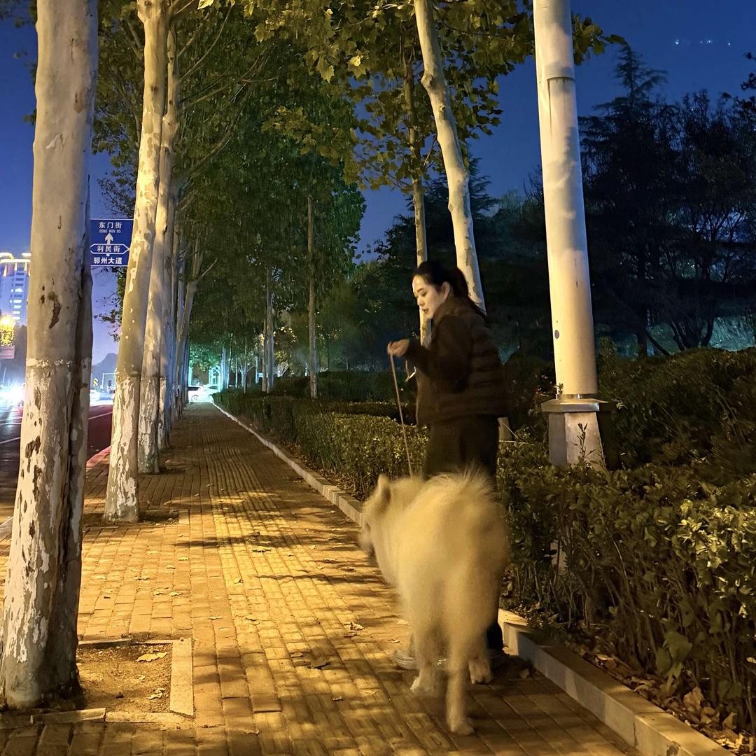 全智贤菜（狗的猫宁food流油）