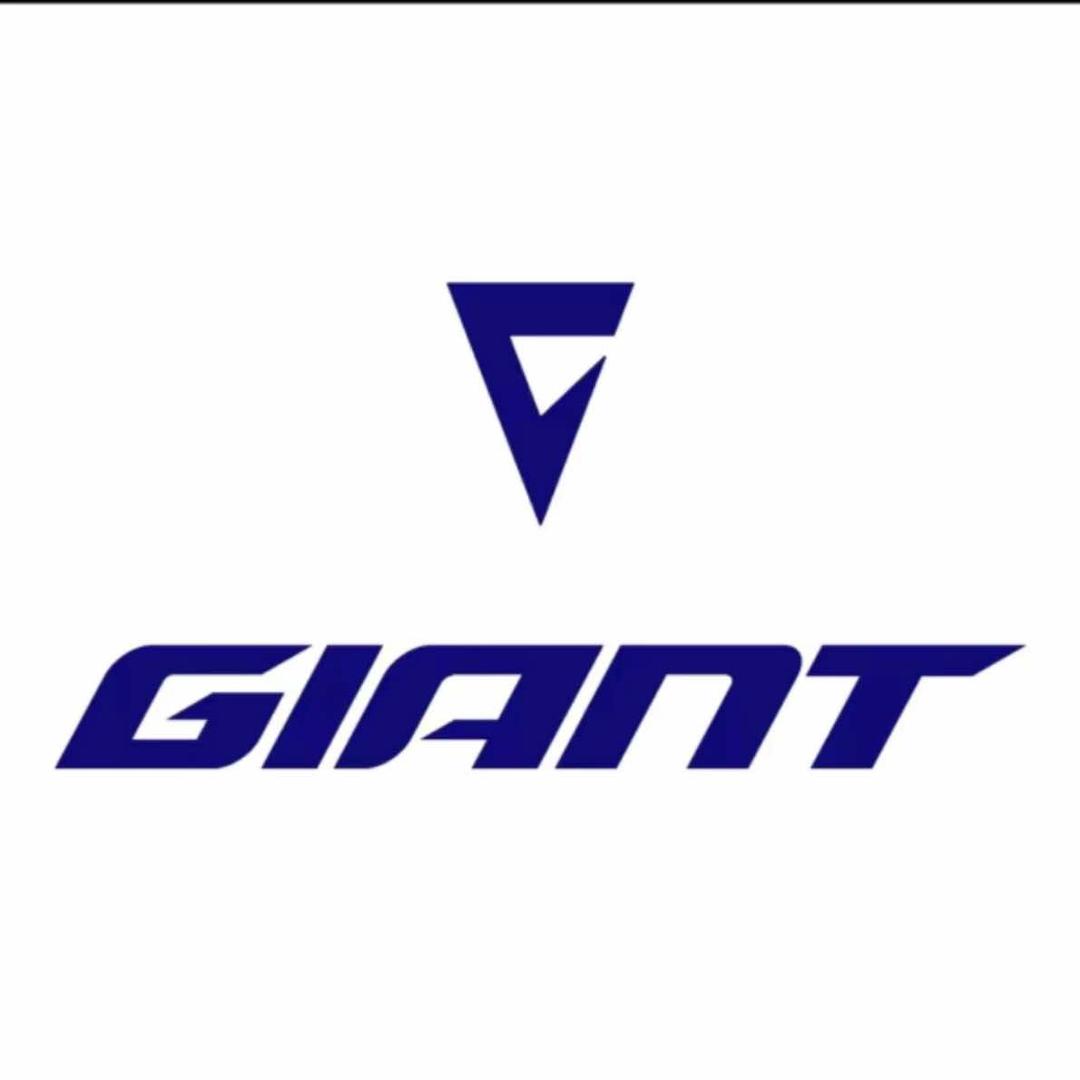 捷安特(临沂店)