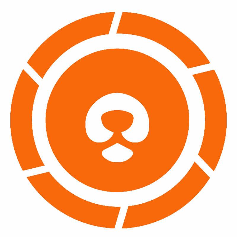 拾光的熊摄影工作室