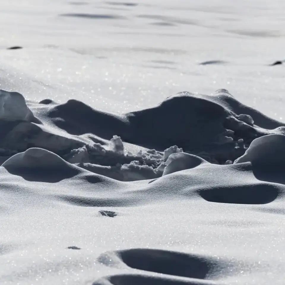 广州乐恂商贸商行（个人独资）广州乐恂商贸商行（个人独资）ZXH直