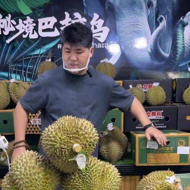 小胖甄选榴莲