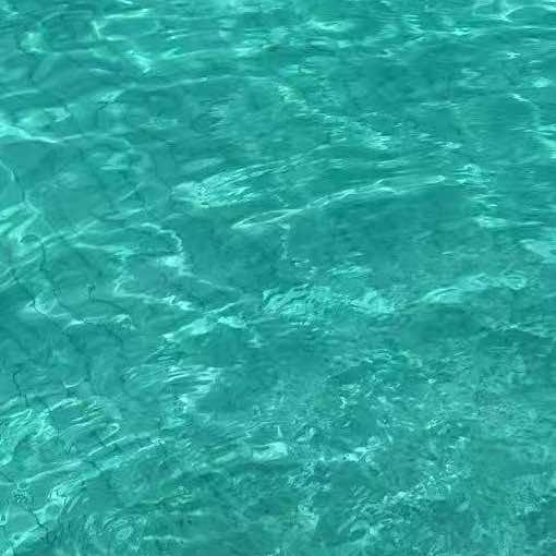 泳界游泳俱乐部