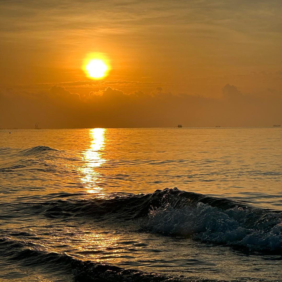 国兴大润发宠粉号