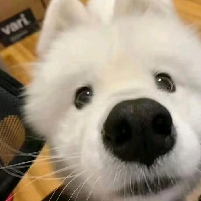 阿姐鞋类清洁养护