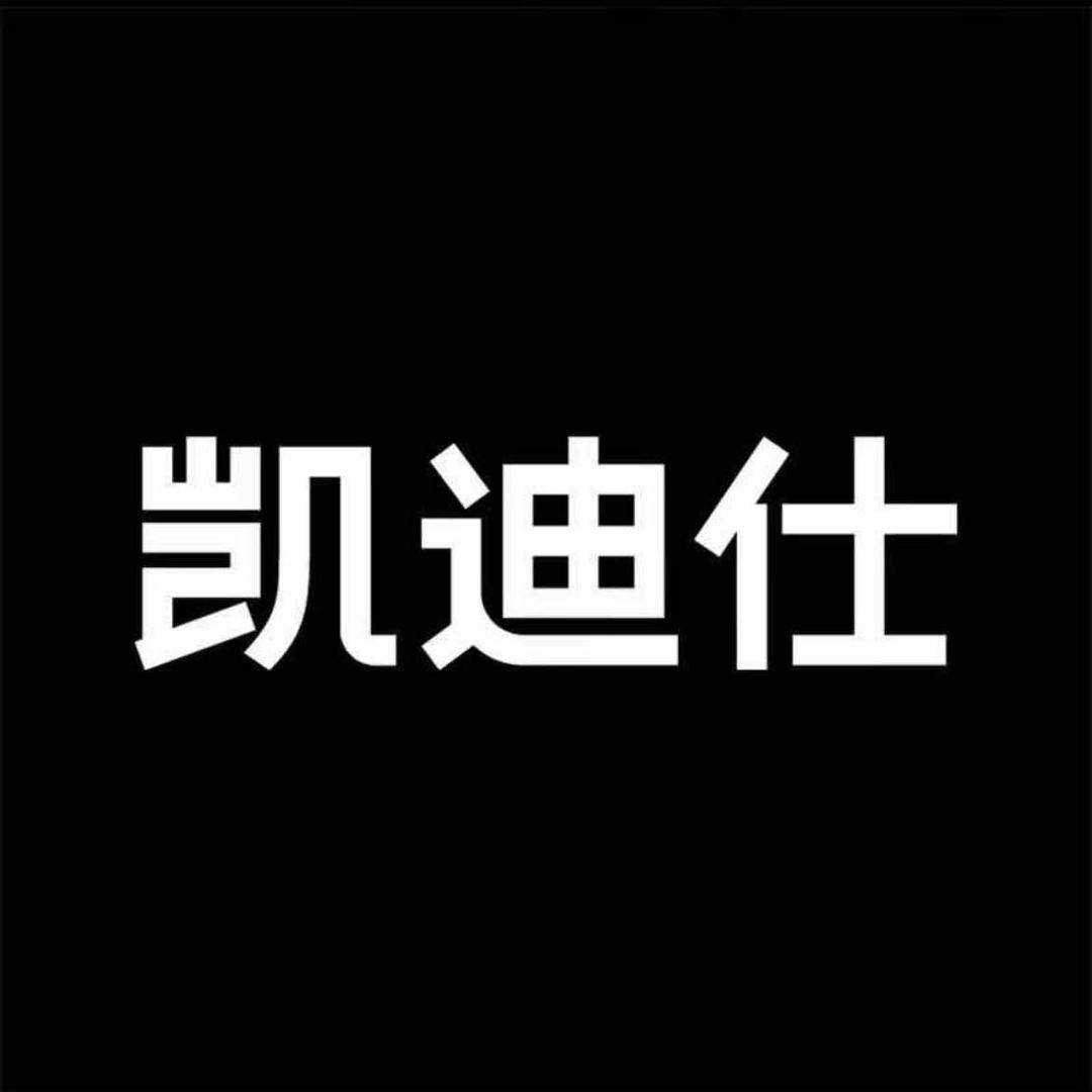 凯迪仕智能锁（大悦城店）