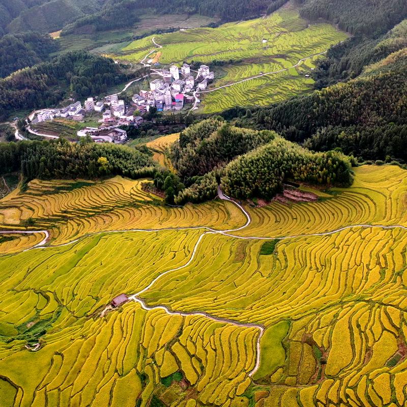 广东连山欧家梯田景区